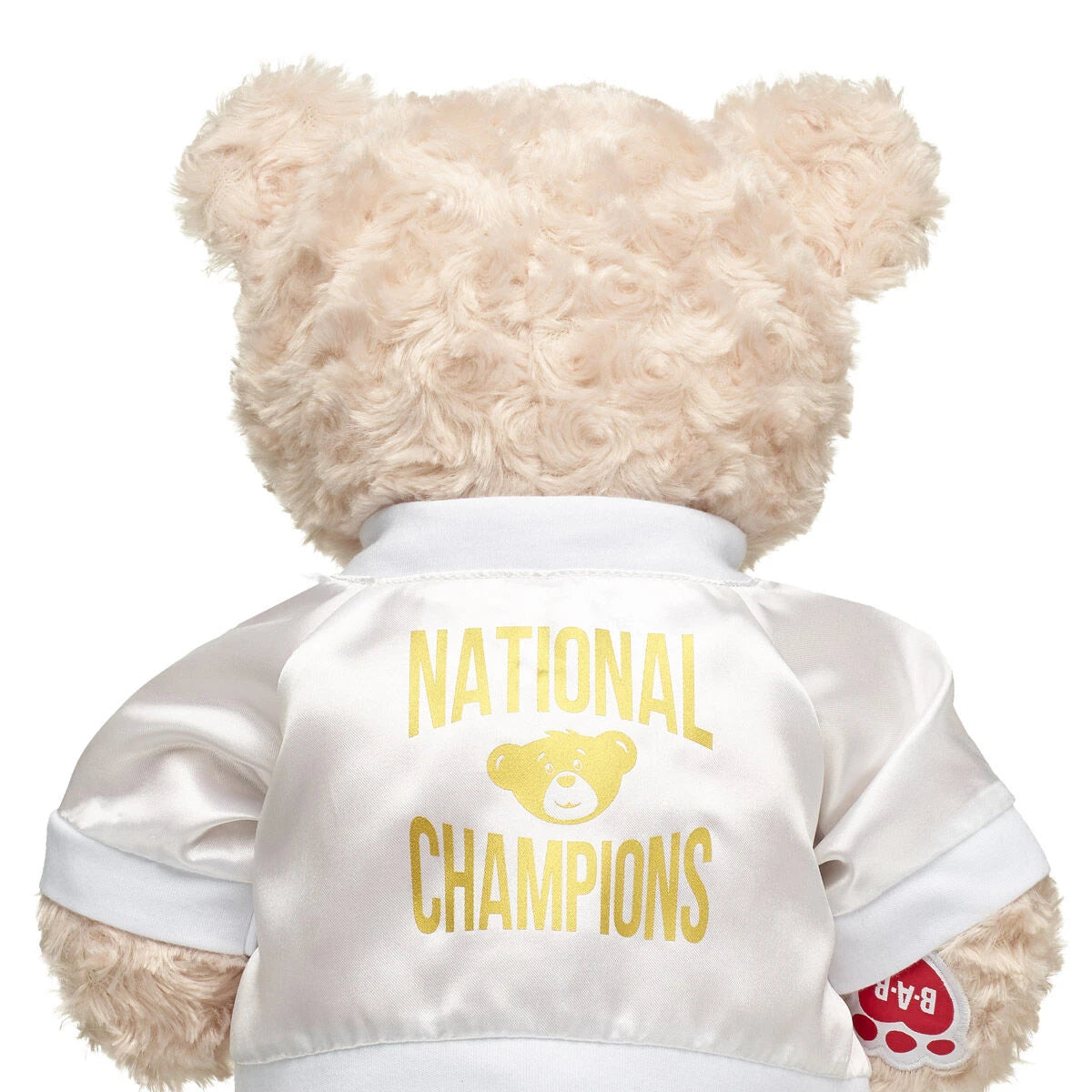 Varsity Spirit National Champions Jacket | Build-A-Bear® - US 3634