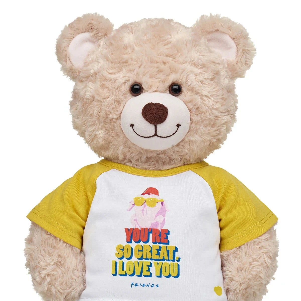FRIENDS TV Show Turkey T-Shirt for Stuffed Animals | Build-A-Bear® - US 4685
