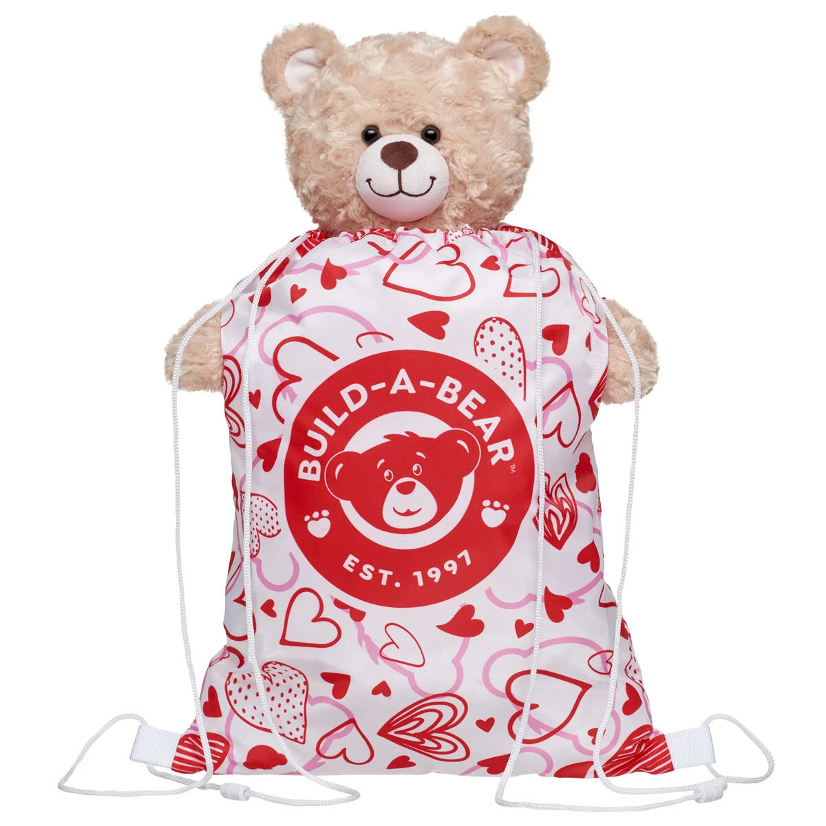 Valentine's Day Toy Bear Carrier | Build-A-Bear - US 2172