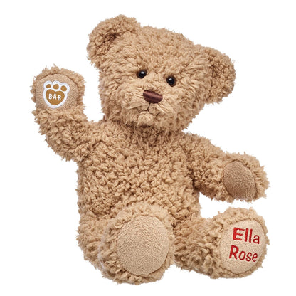 Embroidered Teddy Bear | Online Exclusive Gift | Shop at Build-A-Bear® - US 3248
