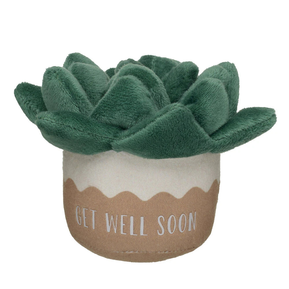 HB GET WELL PLANT - US 9340