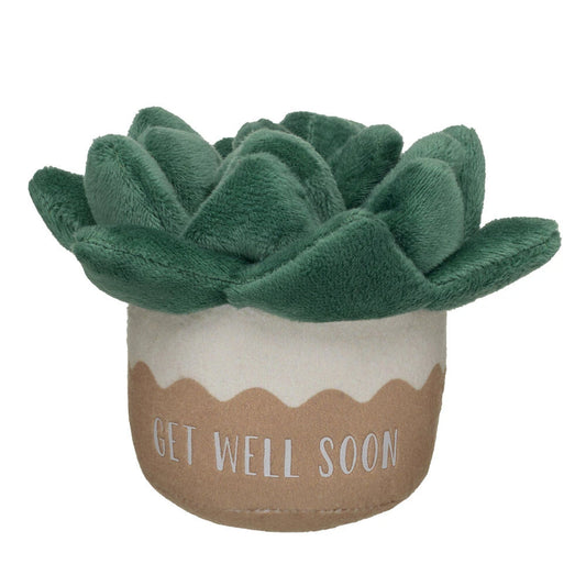 HB GET WELL PLANT - US 9716