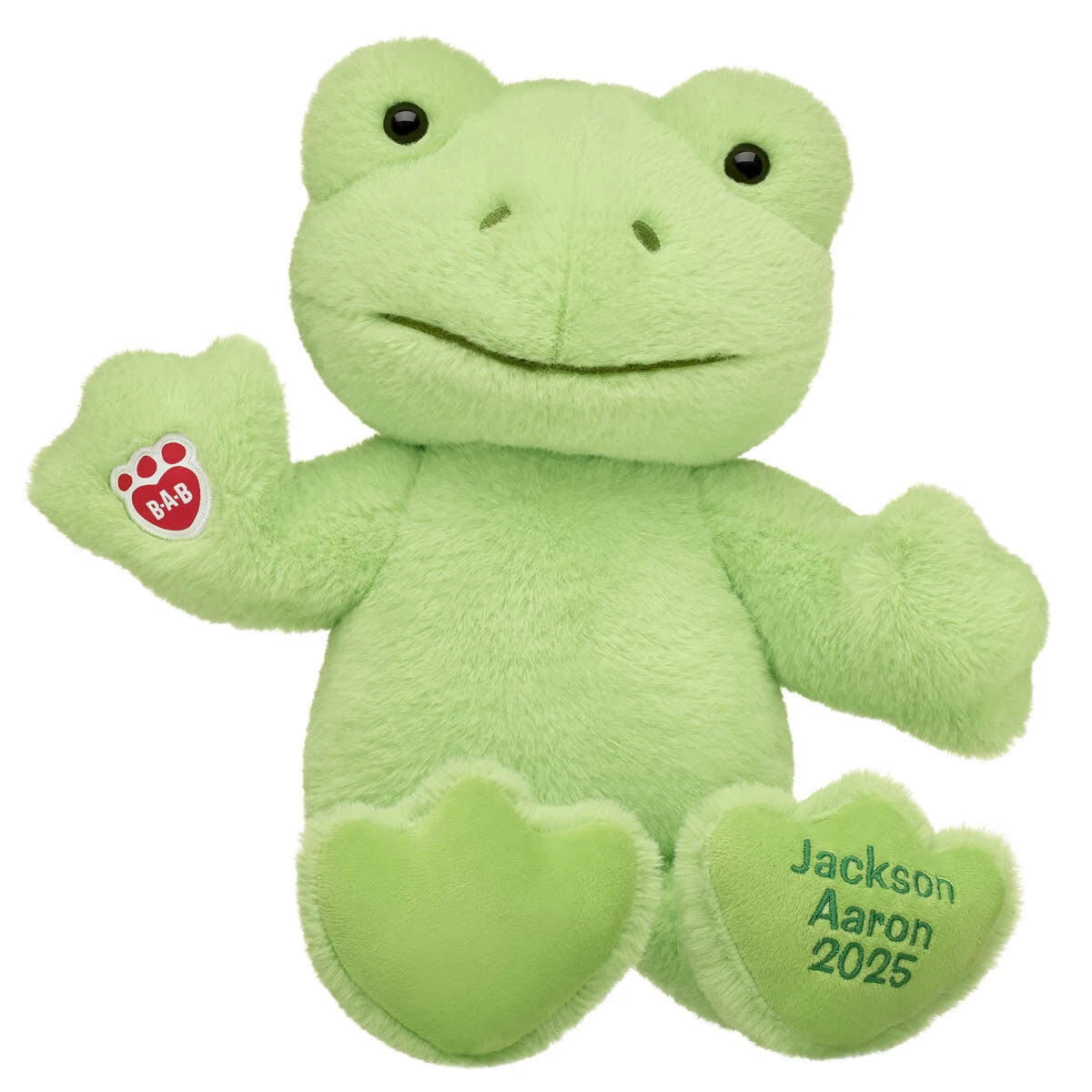 Personalized Embroidered Green Frog Plush Toy | Build-A-Bear® - US 9298