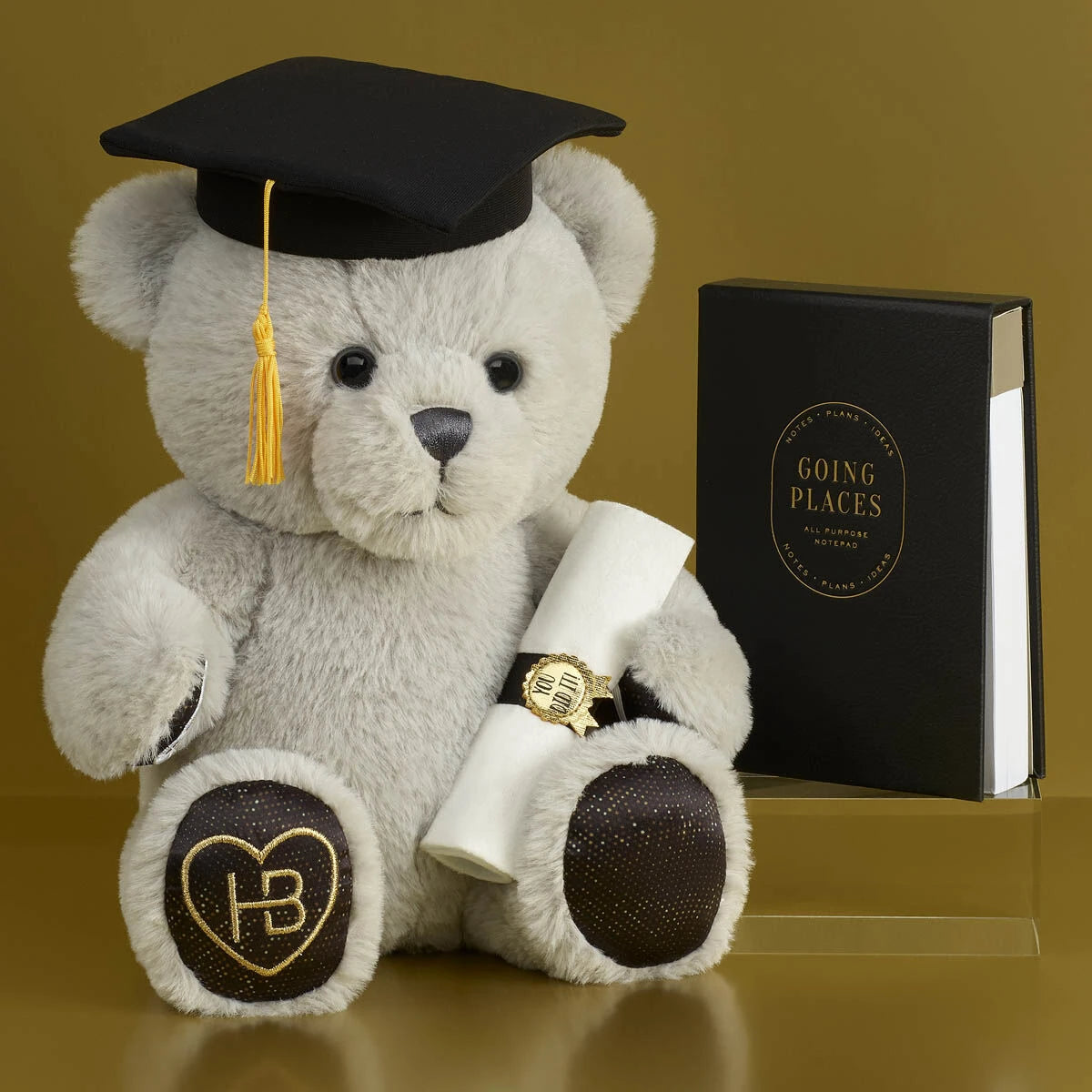 Going Places Graduation Gift Box | Build-A-Bear® - US 9925