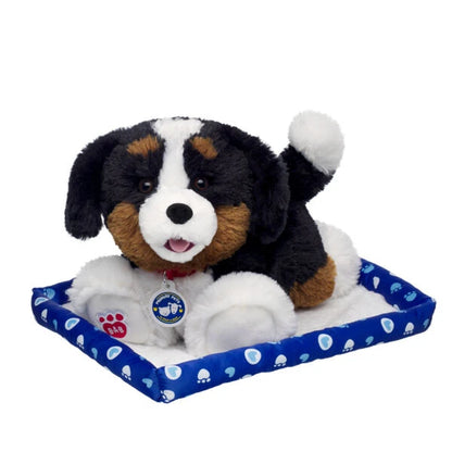 Promise Pets Bernese Mountain Dog Stuffed Animal w/ Blue Bed | Build-A-Bear - US 4595