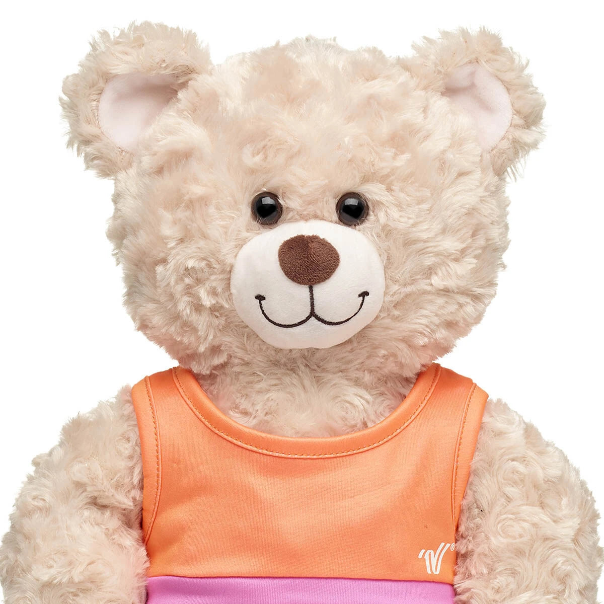 Varsity Spirit Sports Bra | Build-A-Bear® - US 1836
