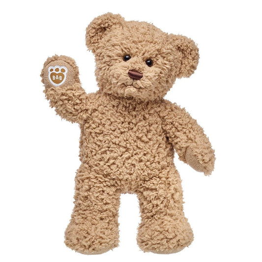 Timeless Teddy Bear | Build-A-Bear® - US 7329