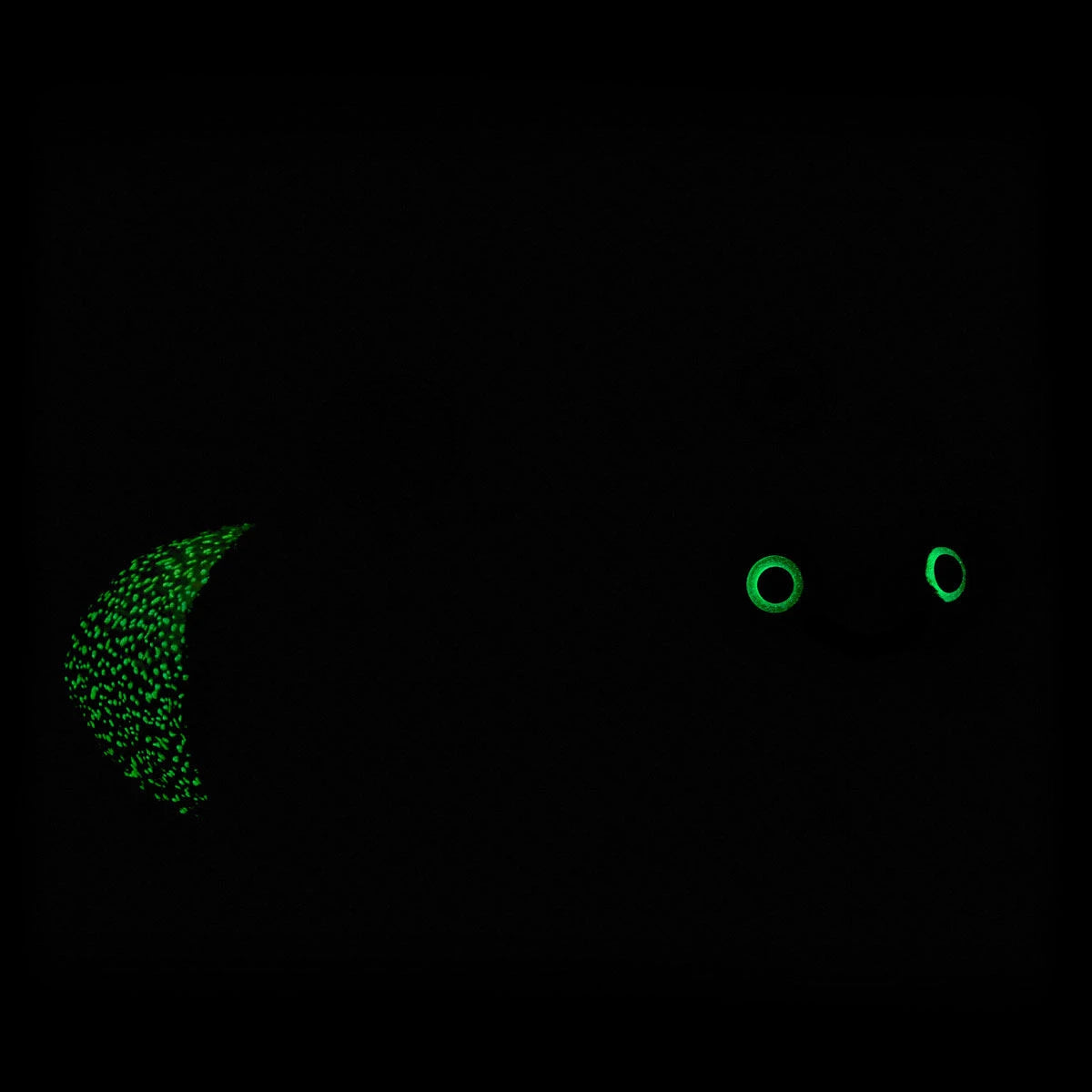 Glow-in-the-Dark Lightning Bug Stuffed Animal | BAB - US 6329
