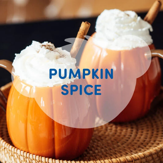 Pumpkin Spice Scent for Stuffed Toys | SCENTiments™ Build-A-Bear® - US 5335